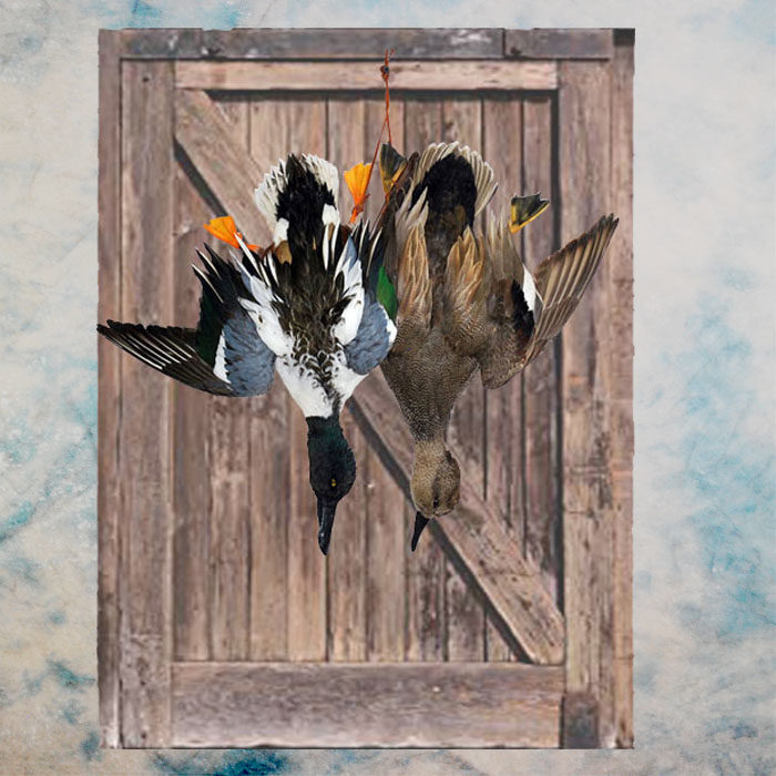 Dead Game Nevada Bird Taxidermy