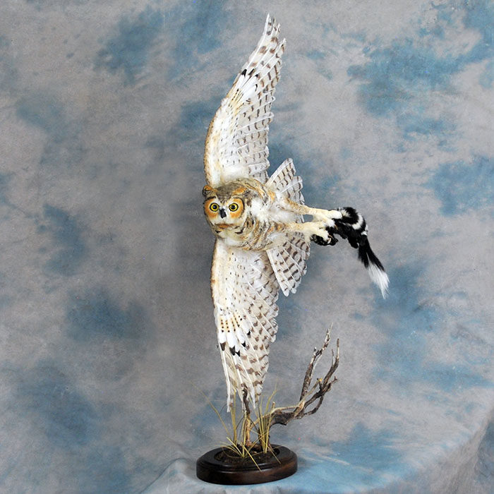 Great Horned Owl Recreation Reno Nevada bird taxidermy