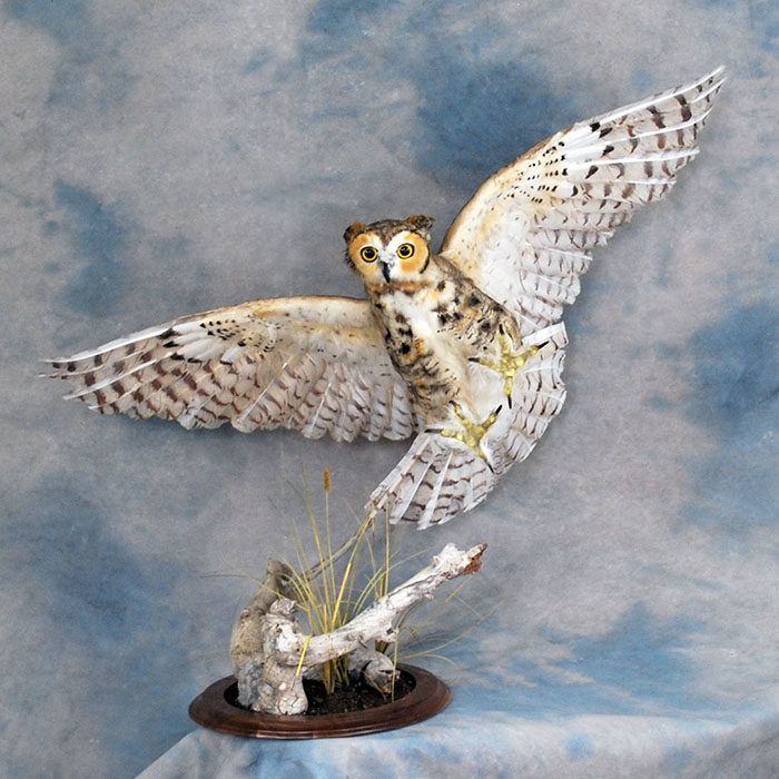 Great Horned Owl Recreation Reno Nevada bird taxidermy