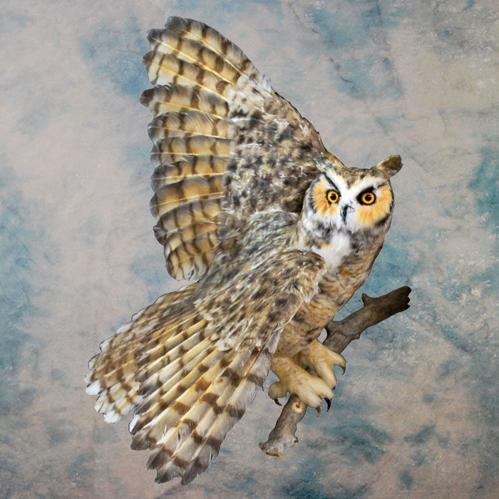 Great Horned Owl Recreation Nevada bird taxidermy