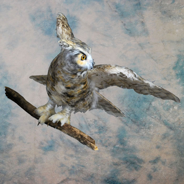 Great Horned Owl Recreation Nevada bird taxidermy