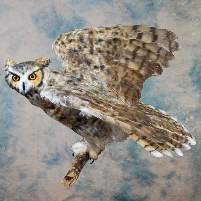 Great Horned Owl Recreation Nevada bird taxidermy